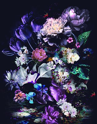 Tapete Sinfonie 2027 WB9162