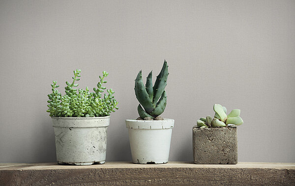 Tapete Nature 2026 8852