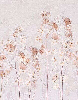 Tapete Sinfonie 2027 WB9157