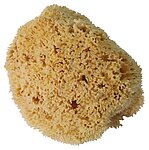 Storch Natur-Schwamm