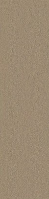 Teppichboden Pearl 830