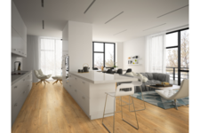 einzA Exklusiv Design Hannover Dryback