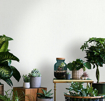 Tapete Nature 2026 8849