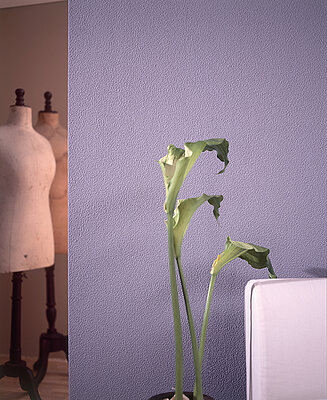 Erfurt Vliesfaser 708