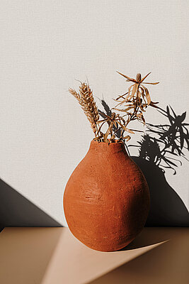 Tapete Nature 2026 8854