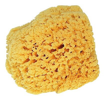 Storch Naturschwamm 10-15 cm