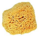 Storch Naturschwamm 10-15 cm