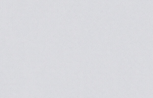 Erfurt Rauhvlies Pro 10