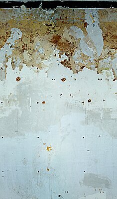 Tapete Sinfonie 2027 WB9148