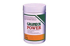 Grüneck Power (Abbeizer)