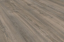 einzA Design 40XL Italienische Graupinie