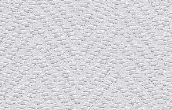 Erfurt Vliesfaser 705